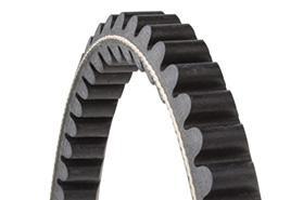 Feather Picker Belt