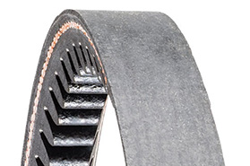 Gold-Ribbon® Cog-Belt®