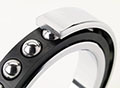 Ball-Bearing-Main-Family-Picture-2021