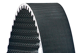 Panther Belt