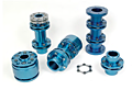Disc Coupling Family Photo