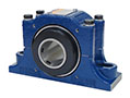 Type-ESA-Pillow-Block-2-Bolt-Base-Bearing